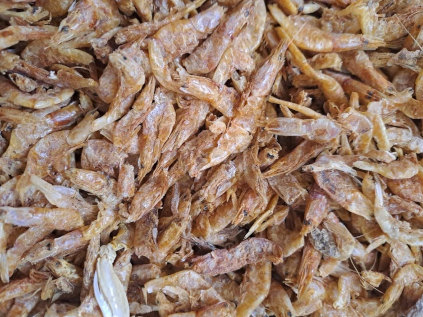 Krevety